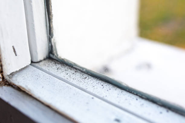 Best Asbestos and Lead Testing During Mold Inspection  in Audubon, PA